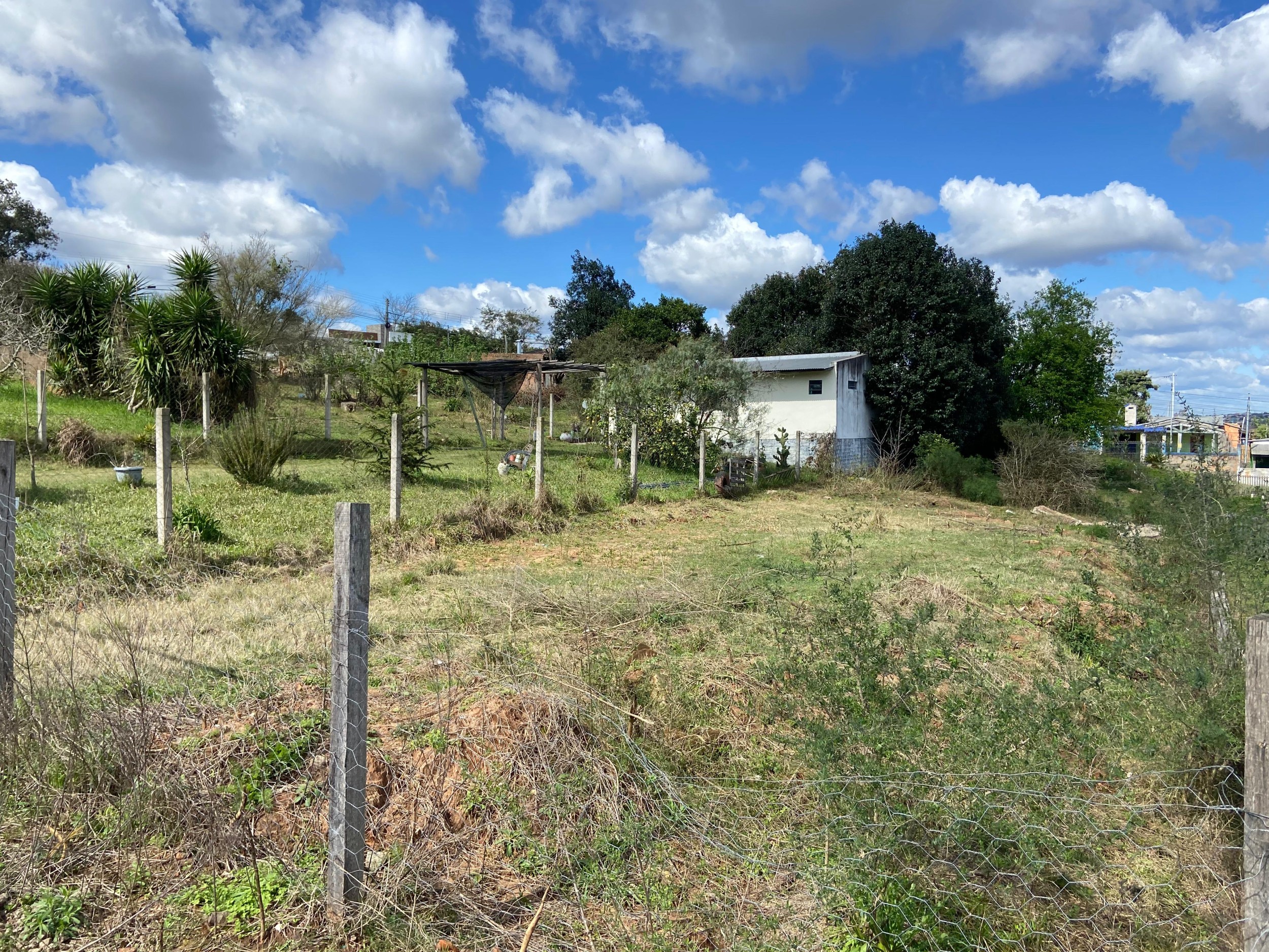 Terreno à venda no pq. São José - IMG_5952