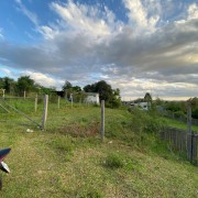 Terreno à venda no pq. São José - IMG_5954